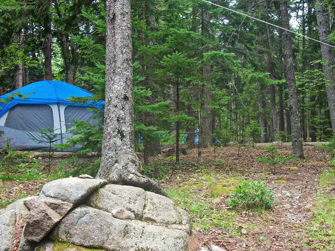 A tent site at Blackwoods Campground