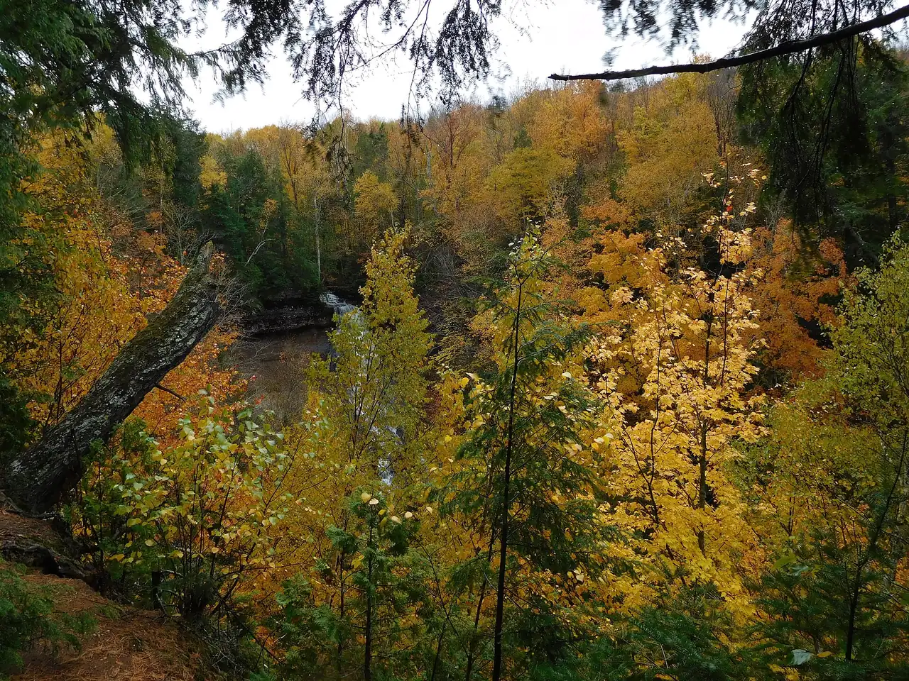 Chapel Falls partly hidden behind orange and yellow fall leaves