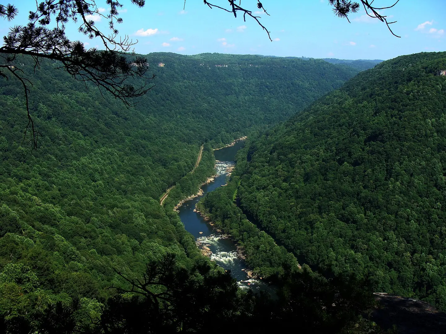 The New River winding through a deep, forested gorge, seen from Diamond Point on the Endless Wall Trail