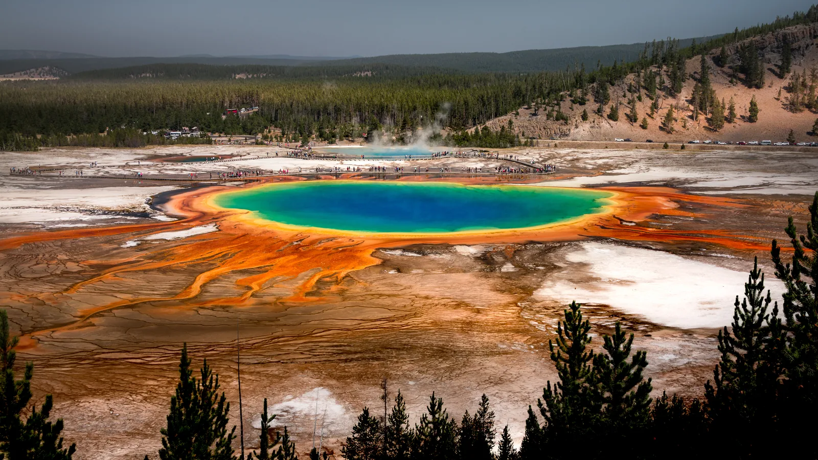 View of Grand Prismatic Spring from the overlook trail