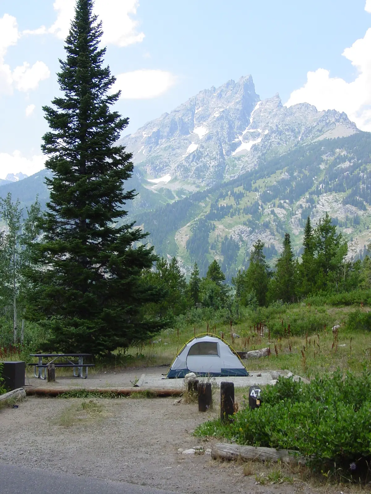 A tent at Jenny Lake Campground with Teewinot above