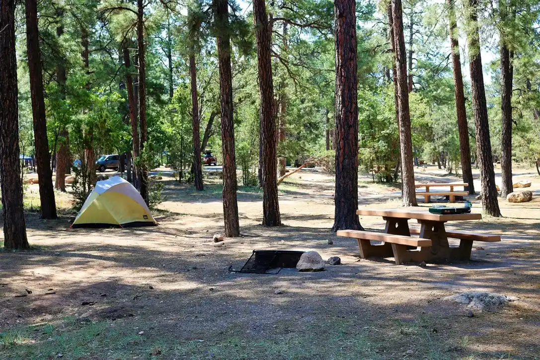A tent site at Mather Campground