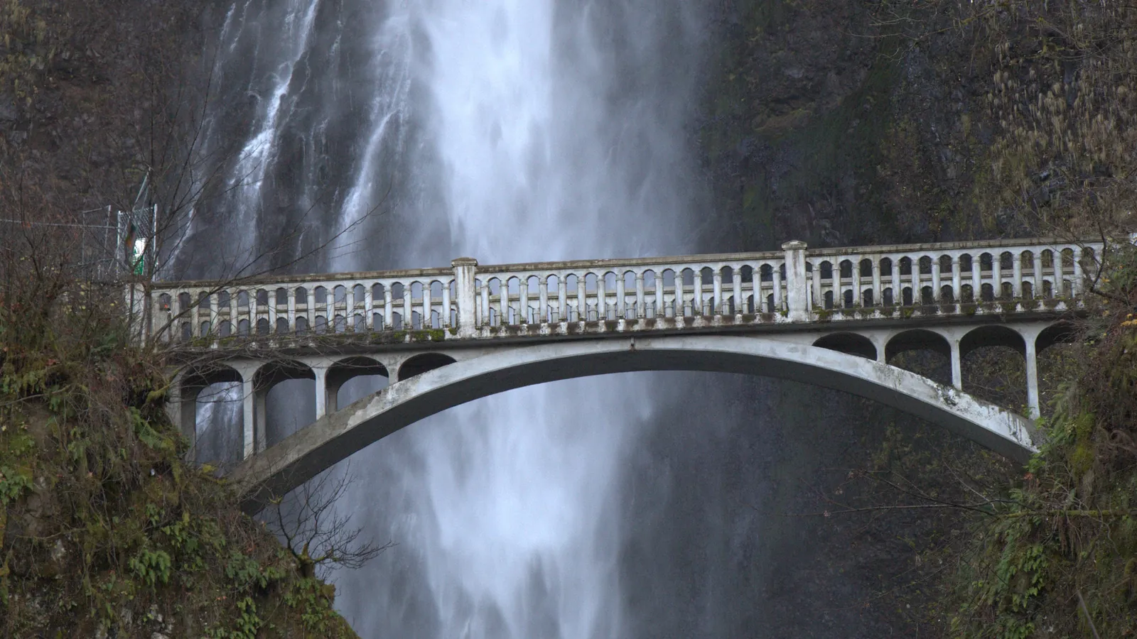 The white arched Benson Bridge crossing in front of Multnomah Falls, with mossy cliffs on both sides
