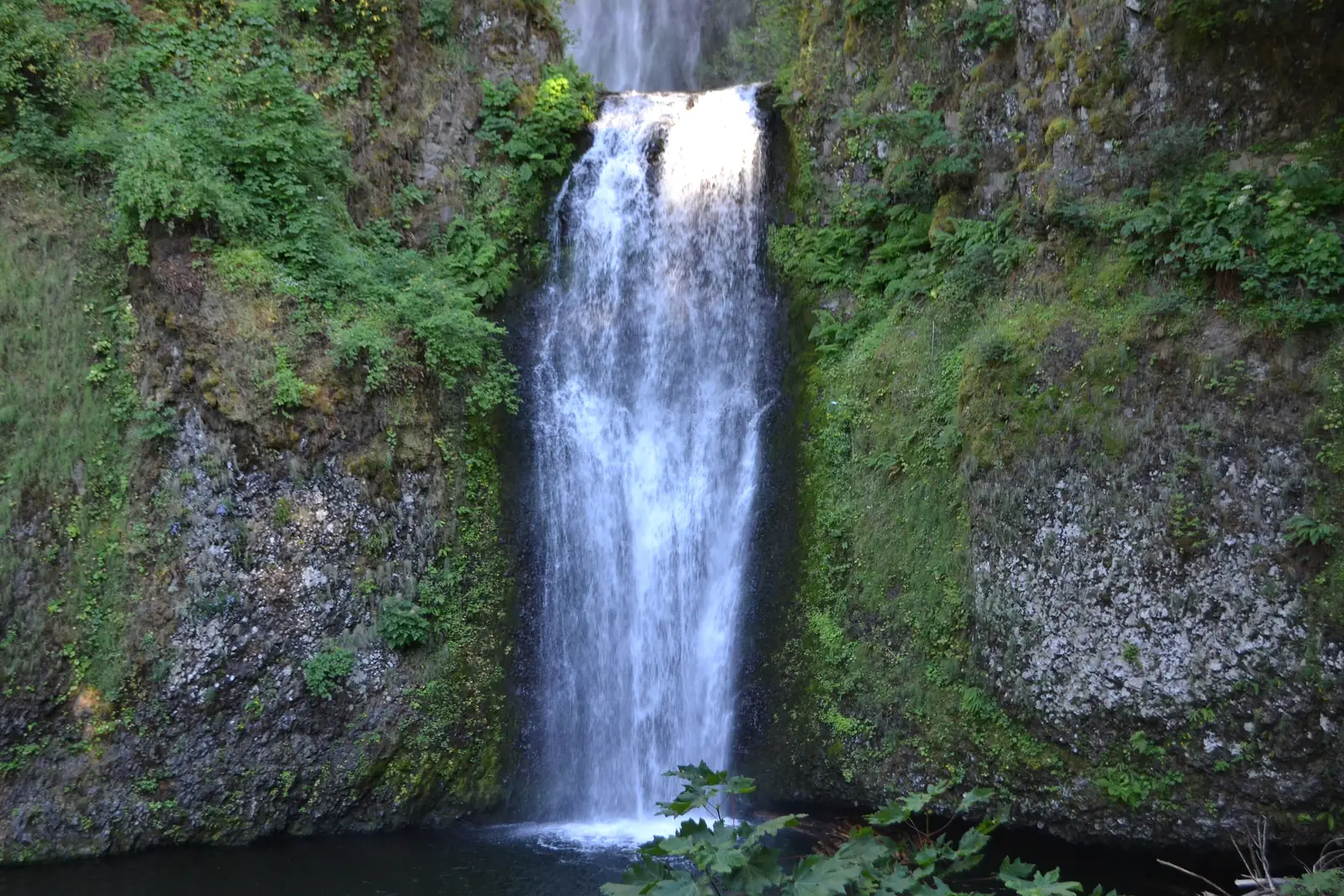The lower tier of Multnomah Falls pouring into a dark pool between fern-covered rock walls