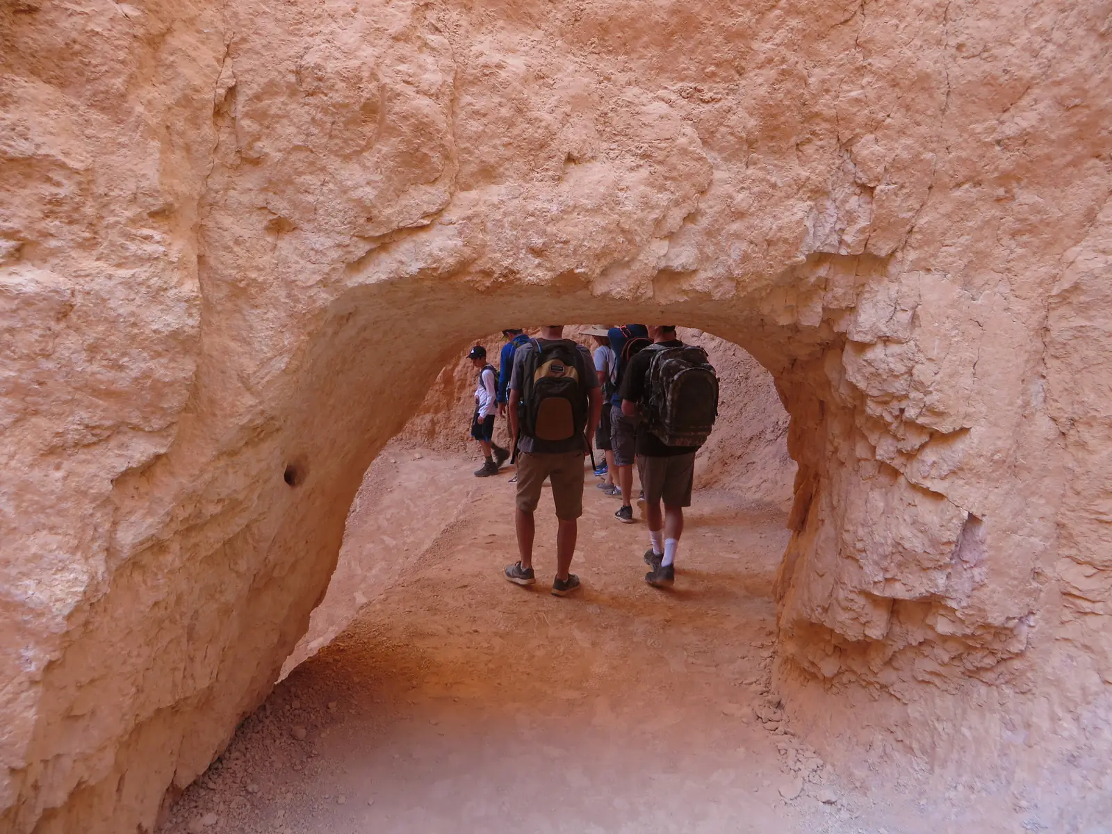 Wall Street, Navajo Loop Trail, Bryce Canyon National Park, Utah (35492371762)