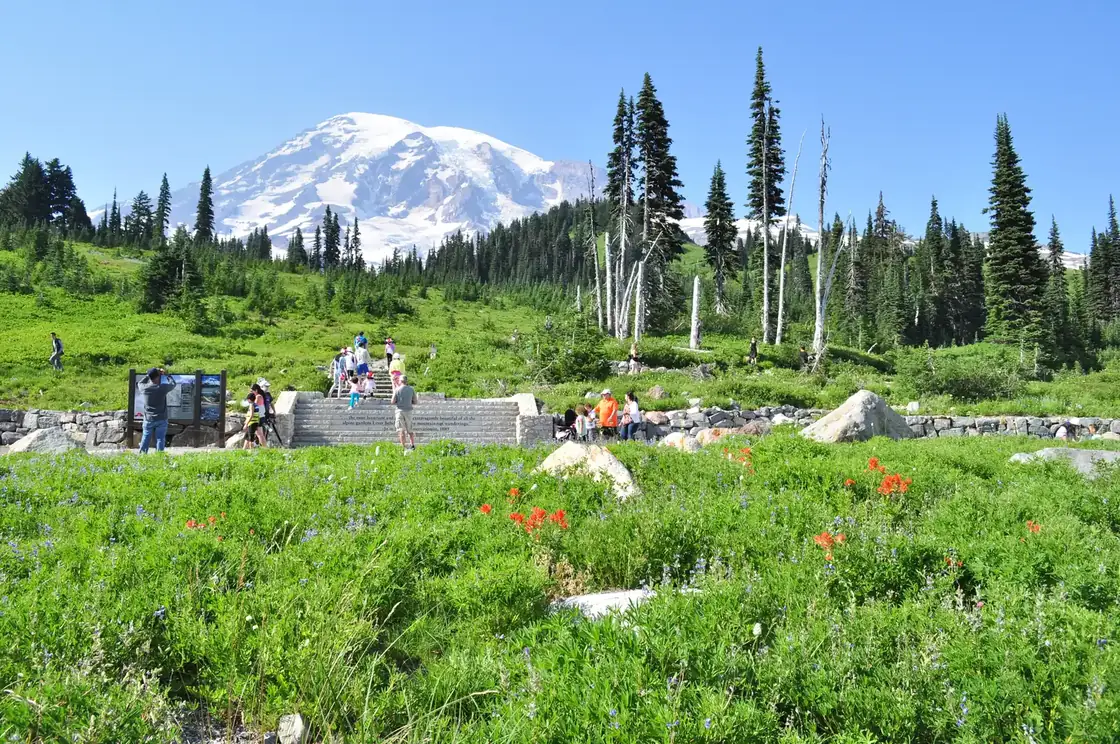 Mount Rainier - Paradise, August 2014 - start of the Skyline Trail 02