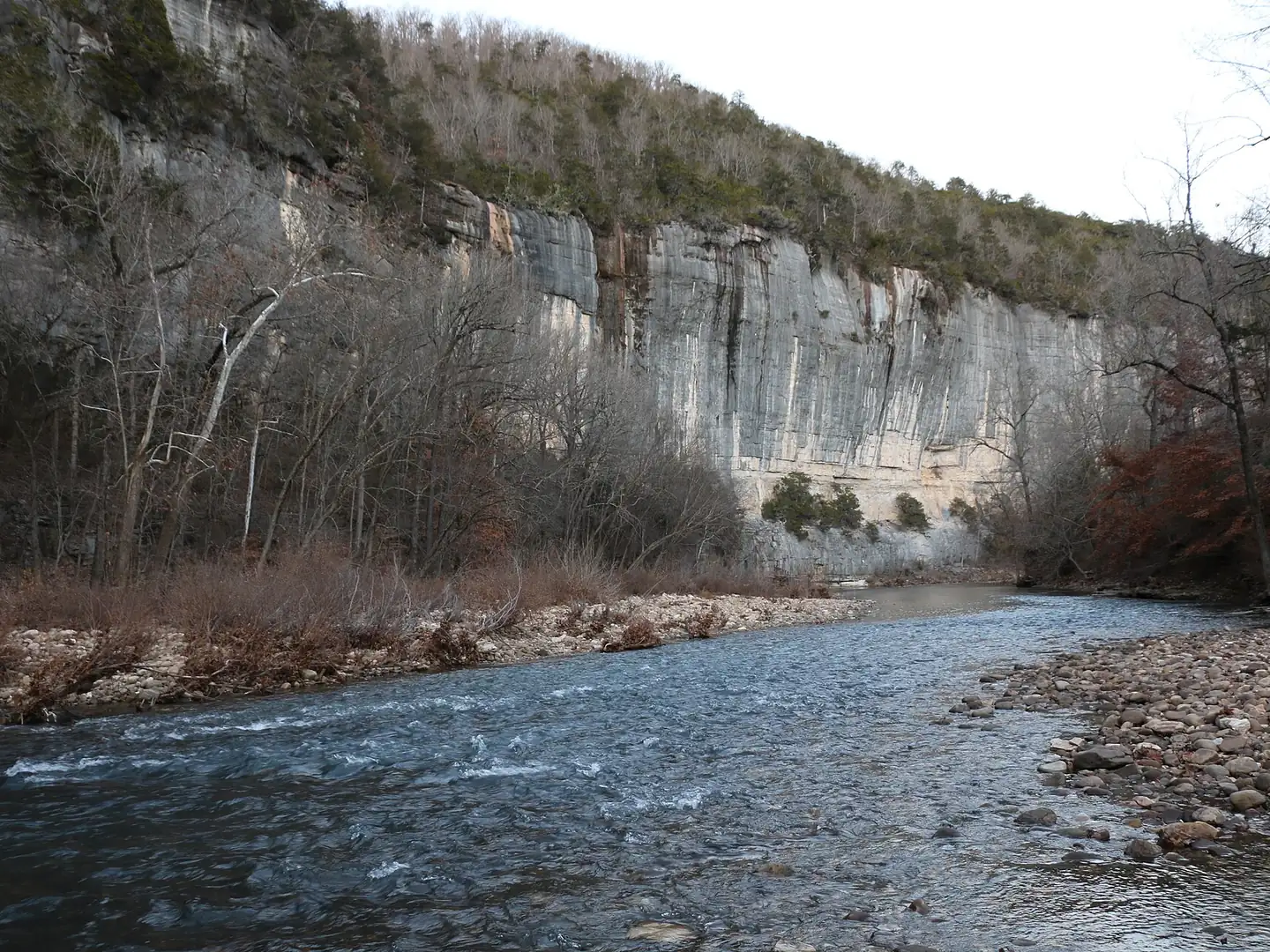 The Buffalo River running over a shallow gravel shoal at the base of Roark Bluff, a tall gray limestone cliff, at Steel Creek