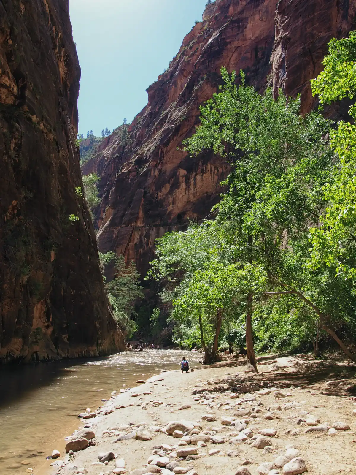 Zion Narrows Hike 93