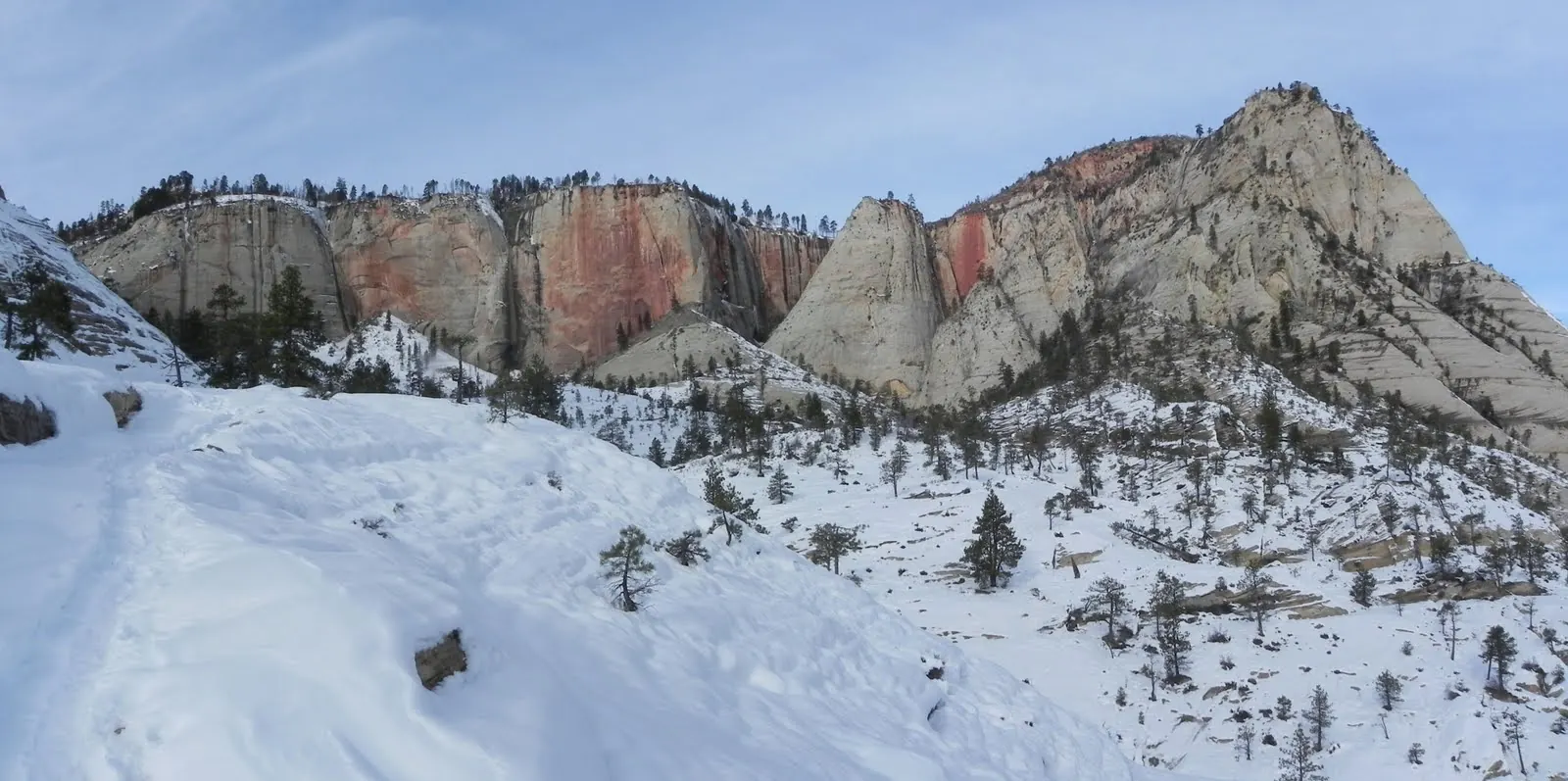 View from West Rim Trail Zion January 2011