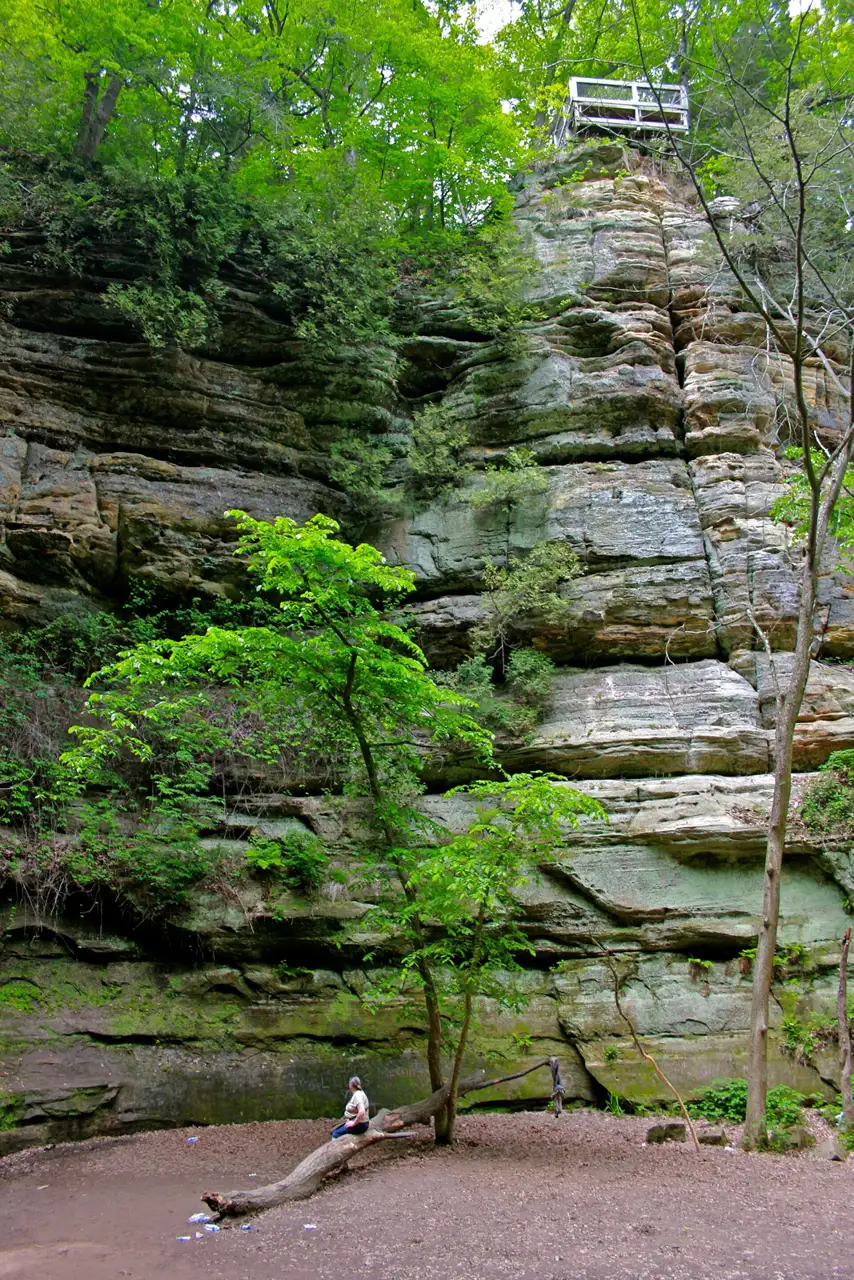 Wildcat Canyon at Starved Rock State Park