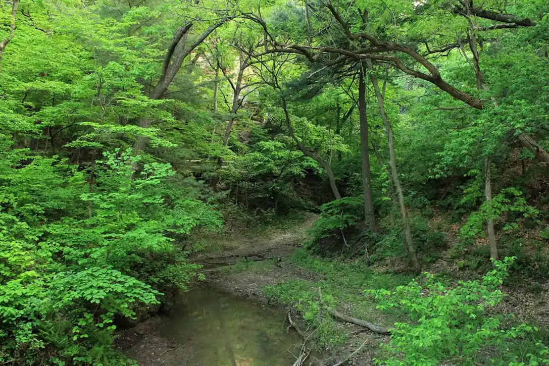 Looking into Wildcat Canyon